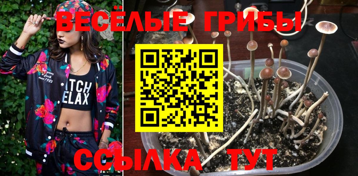 Псилоцибиновые грибы Magic Shrooms  Галлюциногенные грибы Cubensis  Вход с VPN  Кириши 
