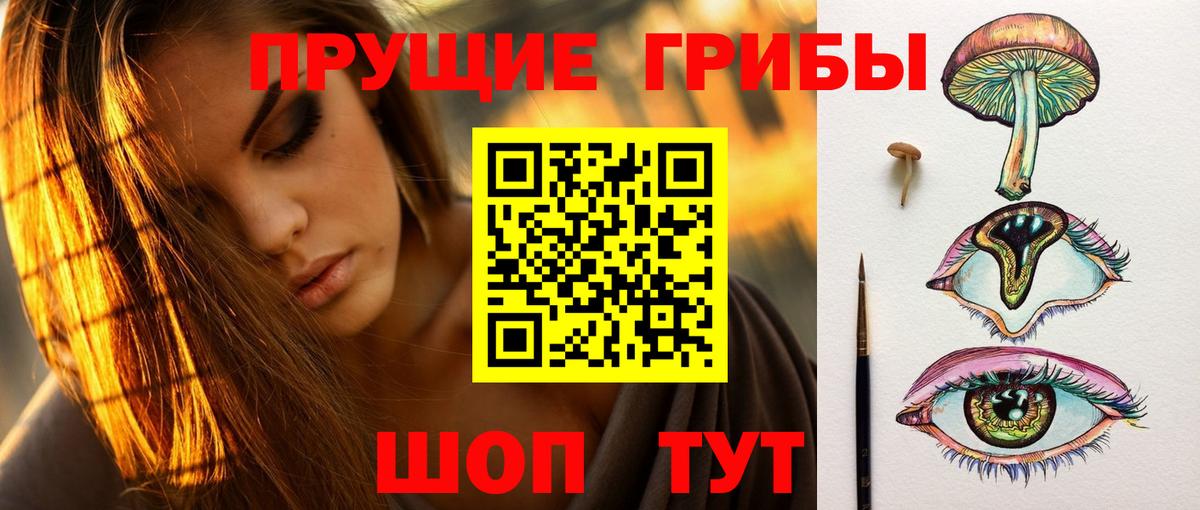 Псилоцибиновые грибы Psilocybine cubensis Кириши